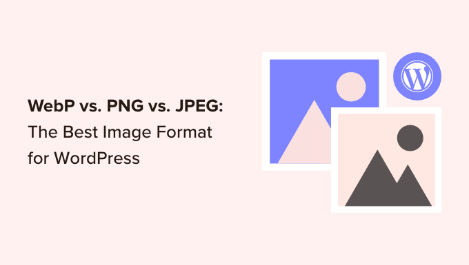 WebP、PNG 和 JPEG：WordPress 的最佳图像格式插图